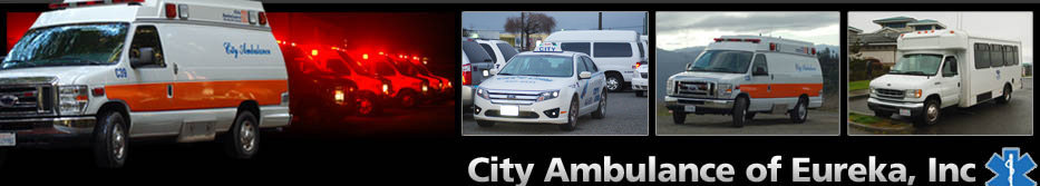 City Ambulance, City Cab, Dial-a-Ride